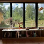 70s In Forest Near Jammerland Bay * Store Fuglede