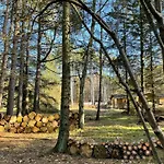 70s In Forest Near Jammerland Bay