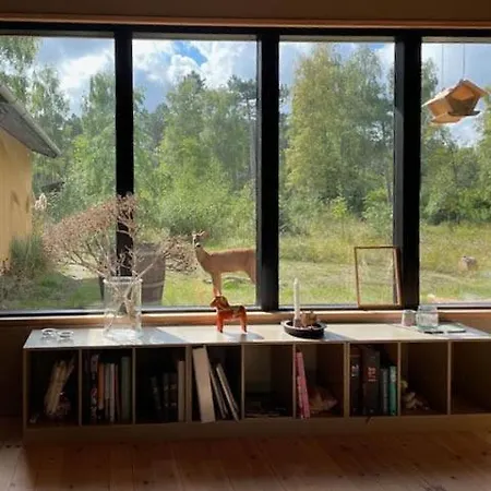 70s In Forest Near Jammerland Bay * Store Fuglede