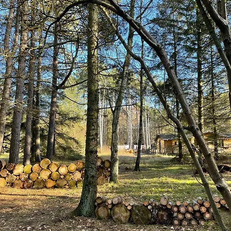 70s In Forest Near Jammerland Bay