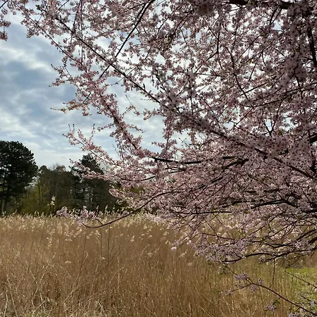 70s In Forest Near Jammerland Bay 펜션 Store Fuglede